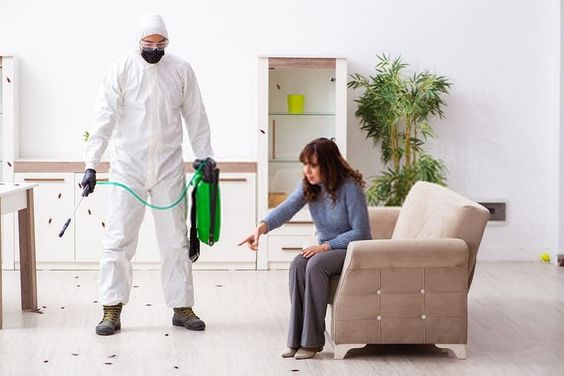 مكافحة حشرات حي الروابي مكافحة حشرات بالمدينة المنورة