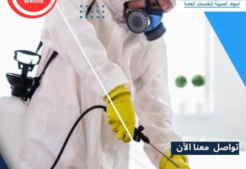 مكافحة حشرات بالمدينة المنورة