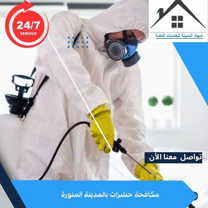 مكافحة حشرات بالمدينة المنورة