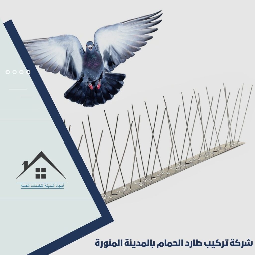 شركة تركيب طارد الحمام بالمدينة المنورة