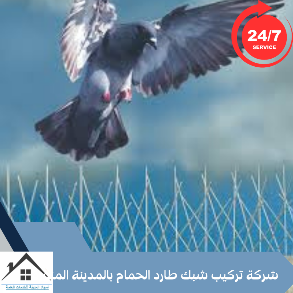شركة تركيب شبك طارد الحمام بالمدينة المنورة