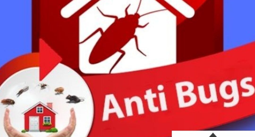 مكافحة حشرات حي الجرف