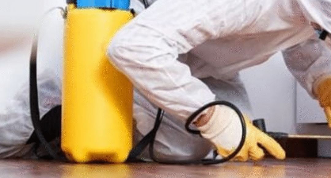 مكافحة حشرات حي البحيرات المدينة المنورة