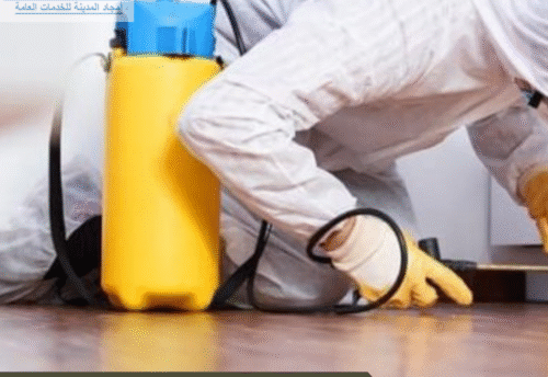 مكافحة حشرات حي البحيرات المدينة المنورة