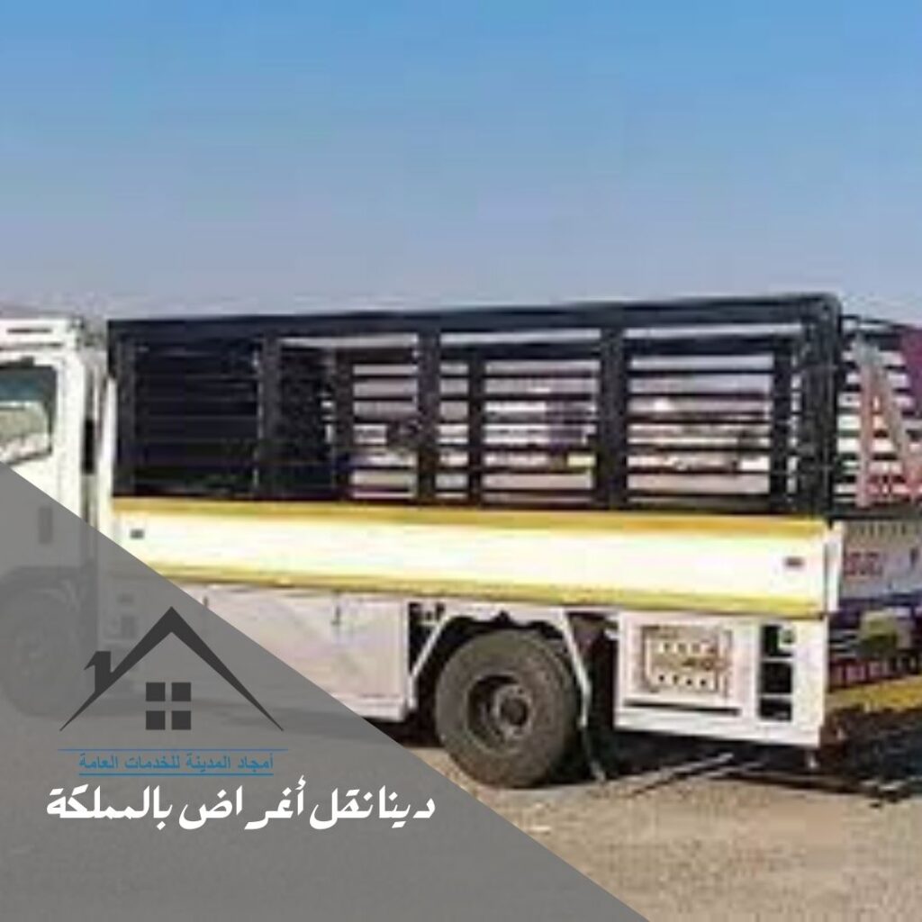 دينا نقل أغراض بالمملكة
