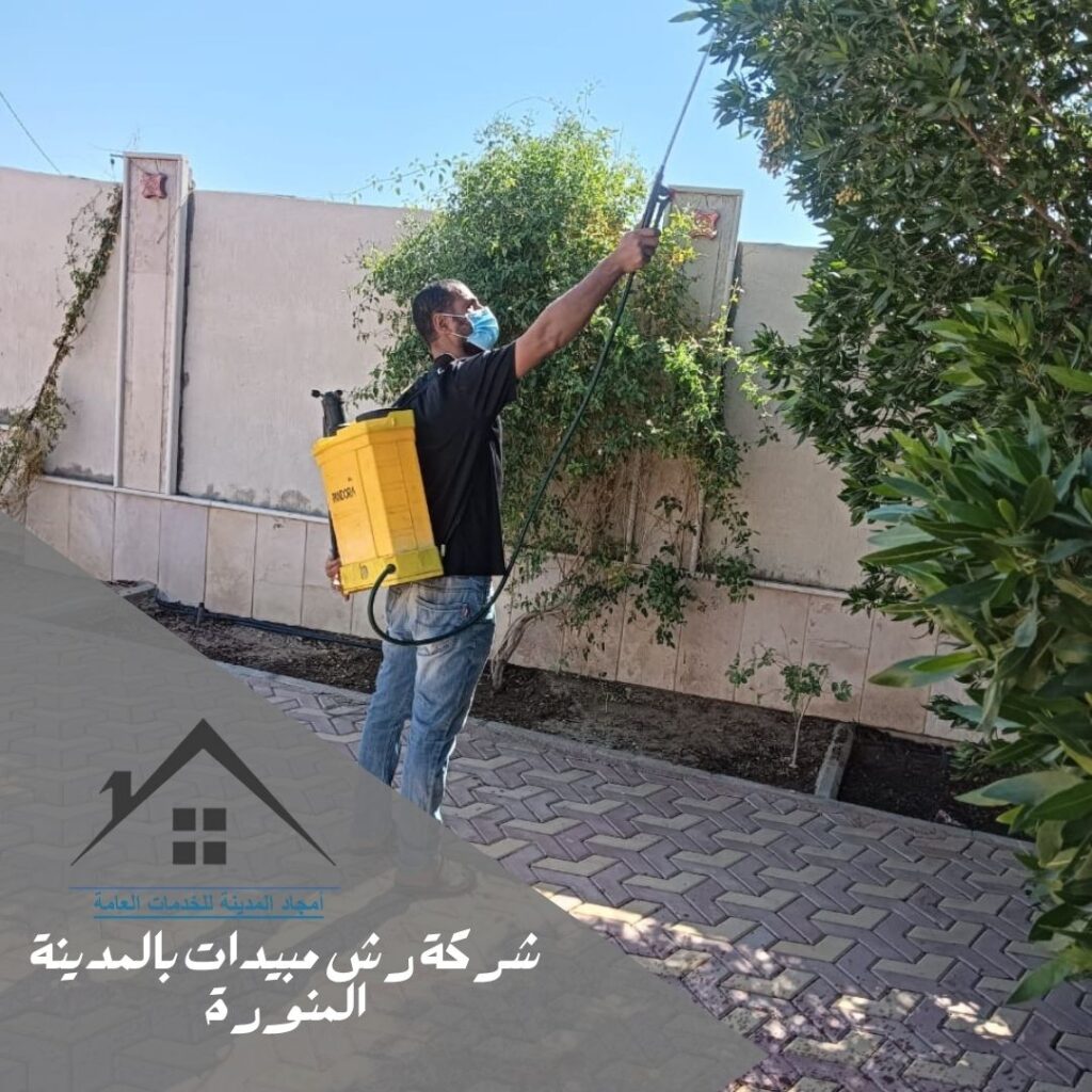 شركة رش مبيدات بالمدينة المنورة