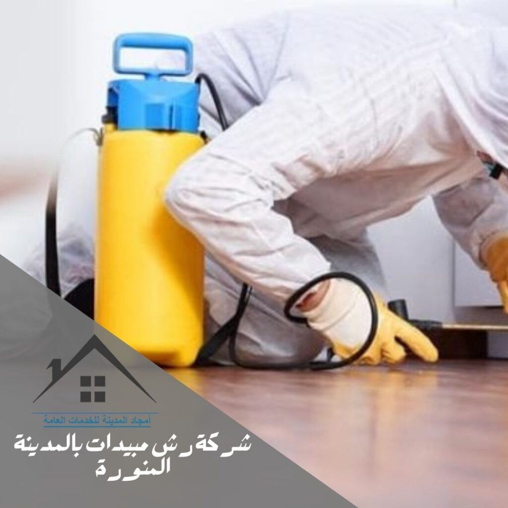 شركة رش مبيدات بالمدينة المنورة