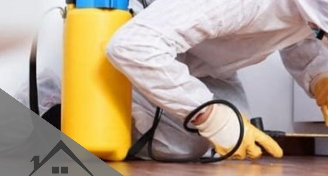 شركة رش مبيدات بالمدينة المنورة