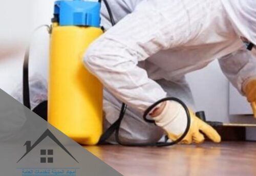 شركة رش مبيدات بالمدينة المنورة