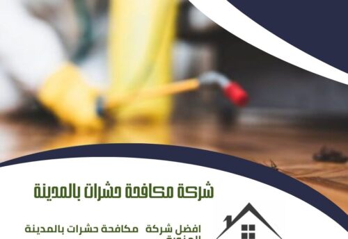 شركة مكافحة حشرات بالمدينة