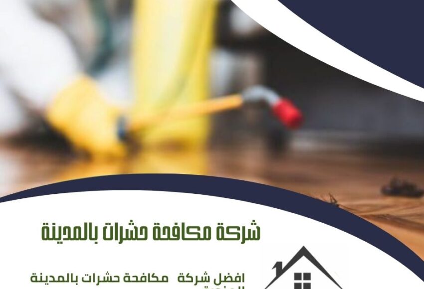 شركة مكافحة حشرات بالمدينة