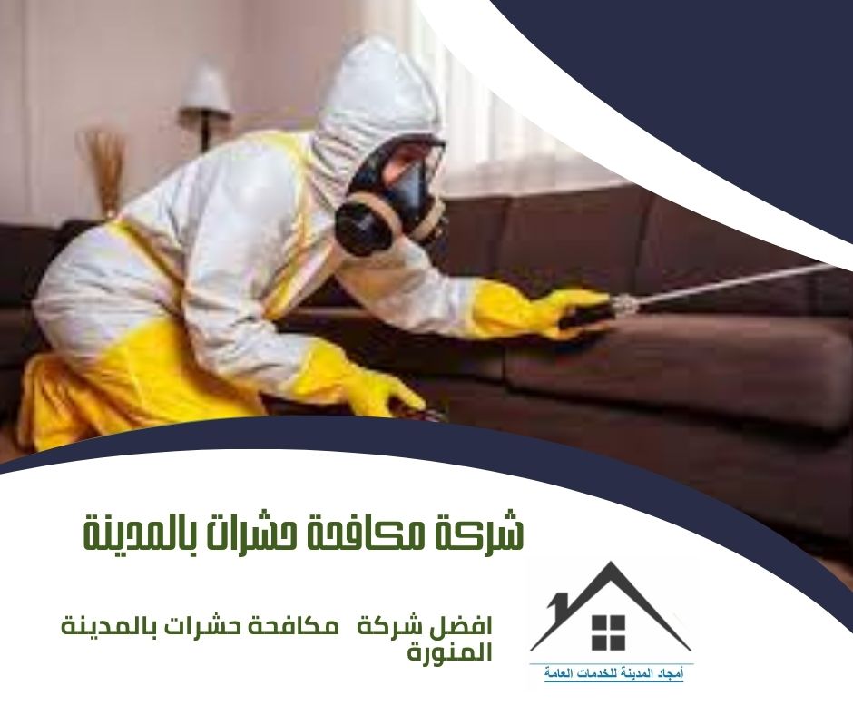 شركة مكافحة حشرات بالمدينة
