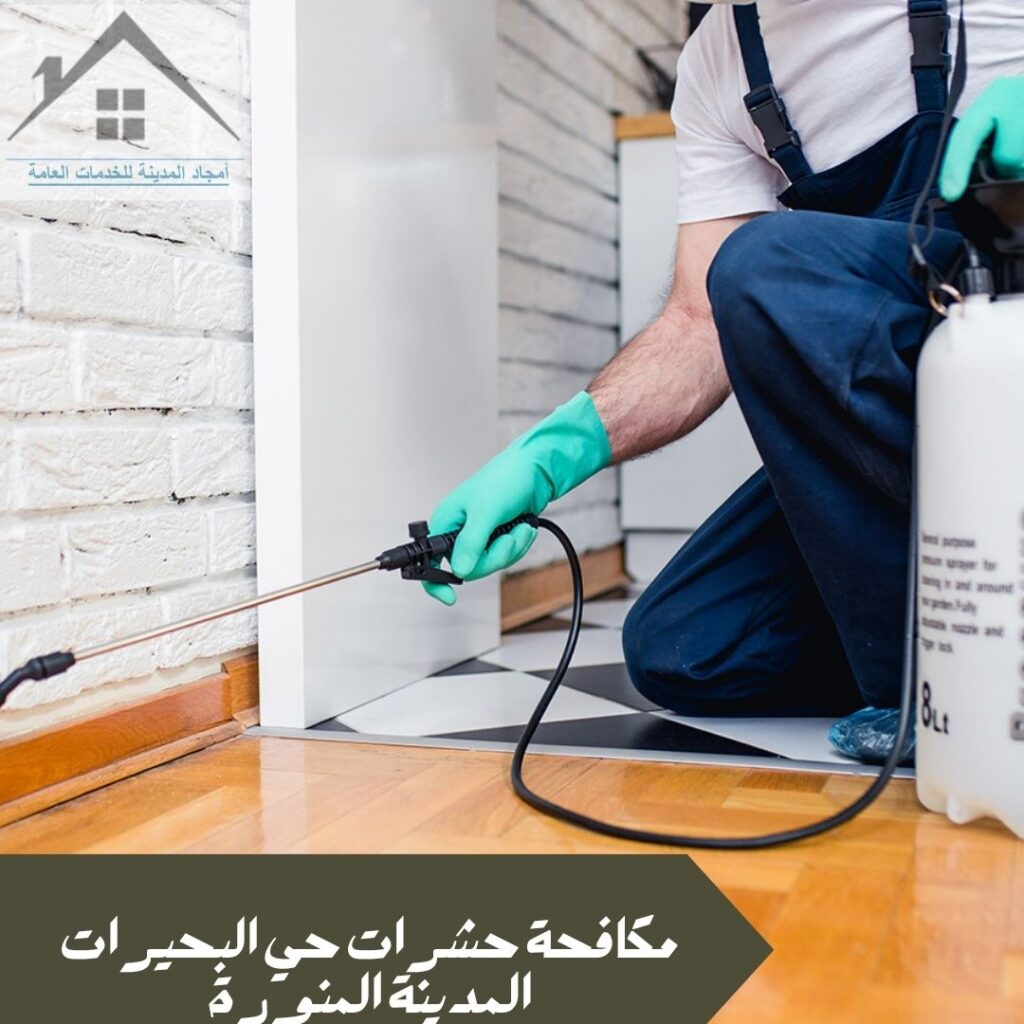 مكافحة حشرات حي البحيرات المدينة المنورة مكافحة حشرات حي البحيرات المدينة المنورة