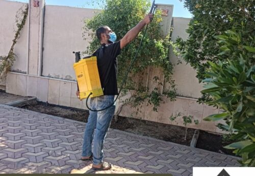 مكافحة حشرات حي الروابي