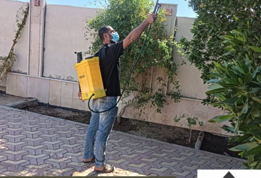 مكافحة حشرات حي الروابي