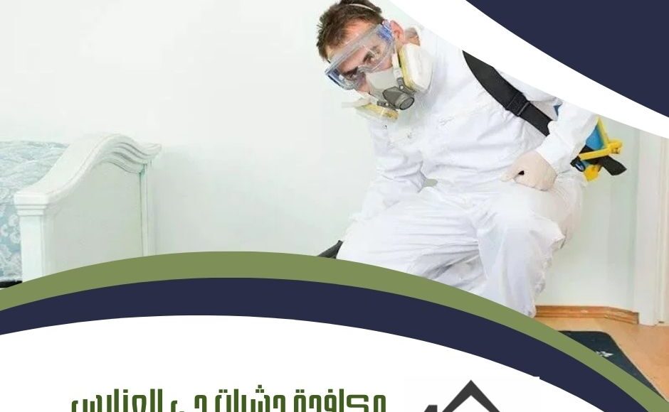 مكافحة حشرات حي العنابس بالمدينة المنورة