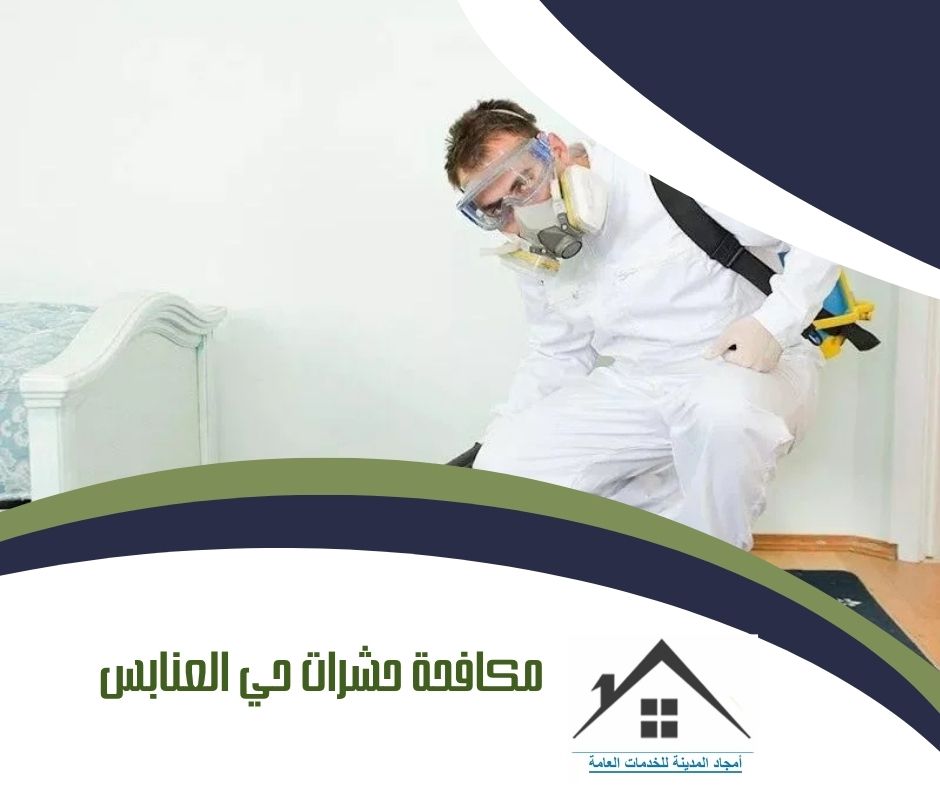 مكافحة حشرات حي العنابس بالمدينة المنورة