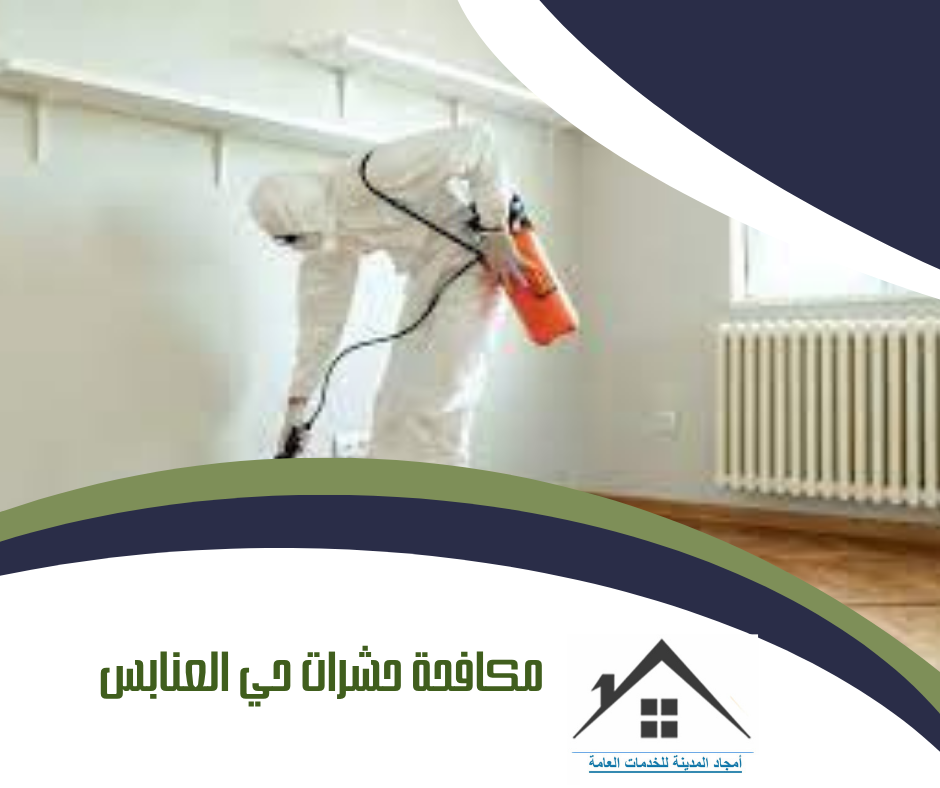 مكافحة حشرات حي العنابس