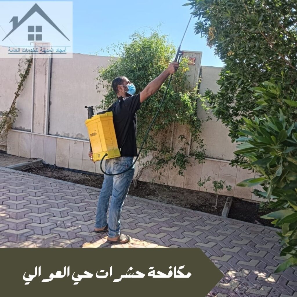 مكافحة حشرات حي العوالي