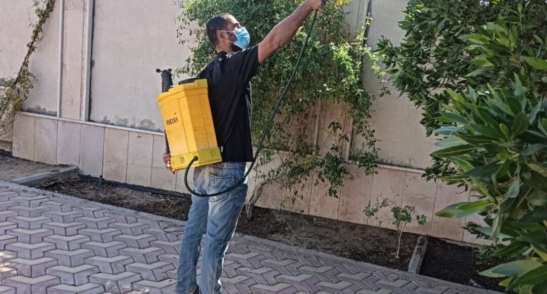 مكافحة حشرات حي العوالي