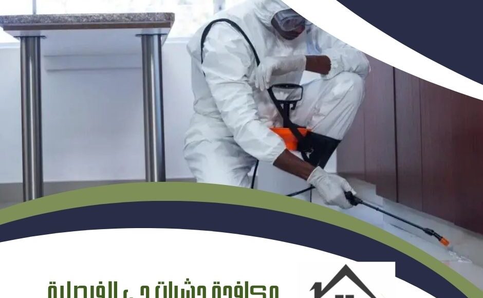مكافحة حشرات حي الفيصلية بالمدينة المنورة