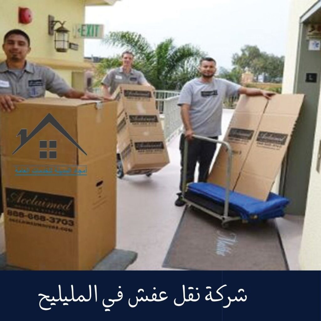 شركة نقل عفش في المليليح 